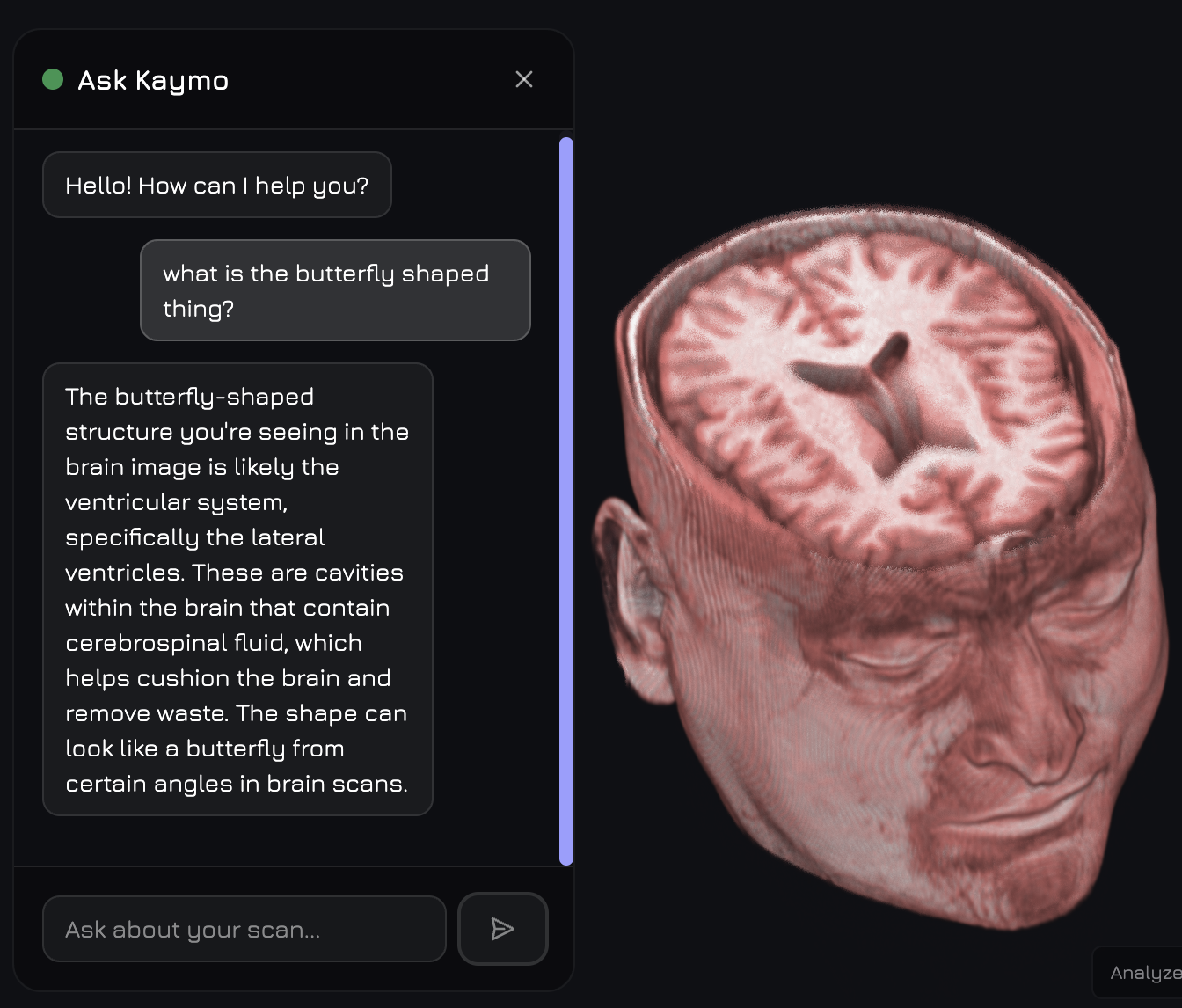 Kaymo AI Chat Interface